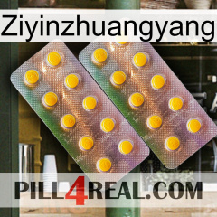 Ziyinzhuangyang new10
